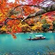 赏金国际
