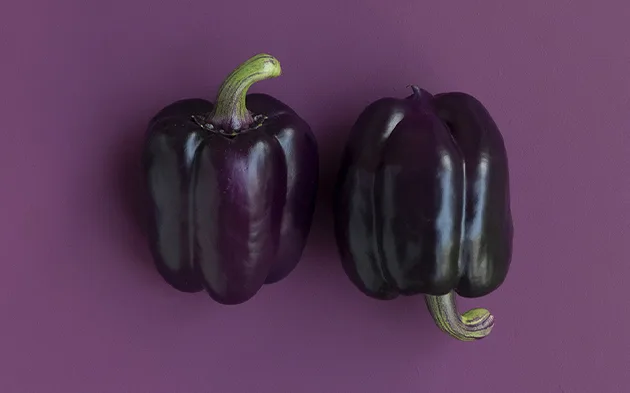 赏金国际